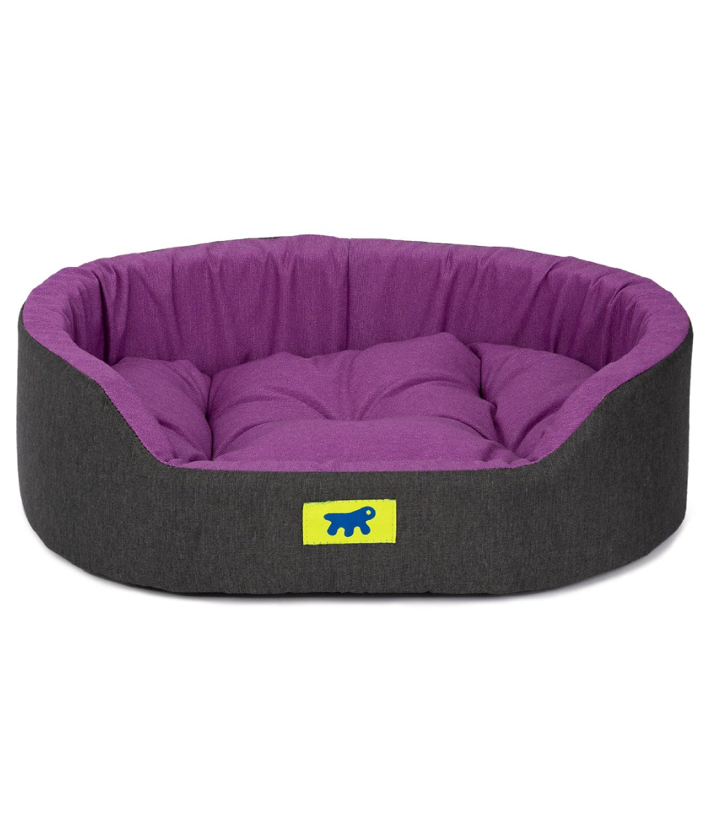 Cama de algodón Dandy para perros y gatos