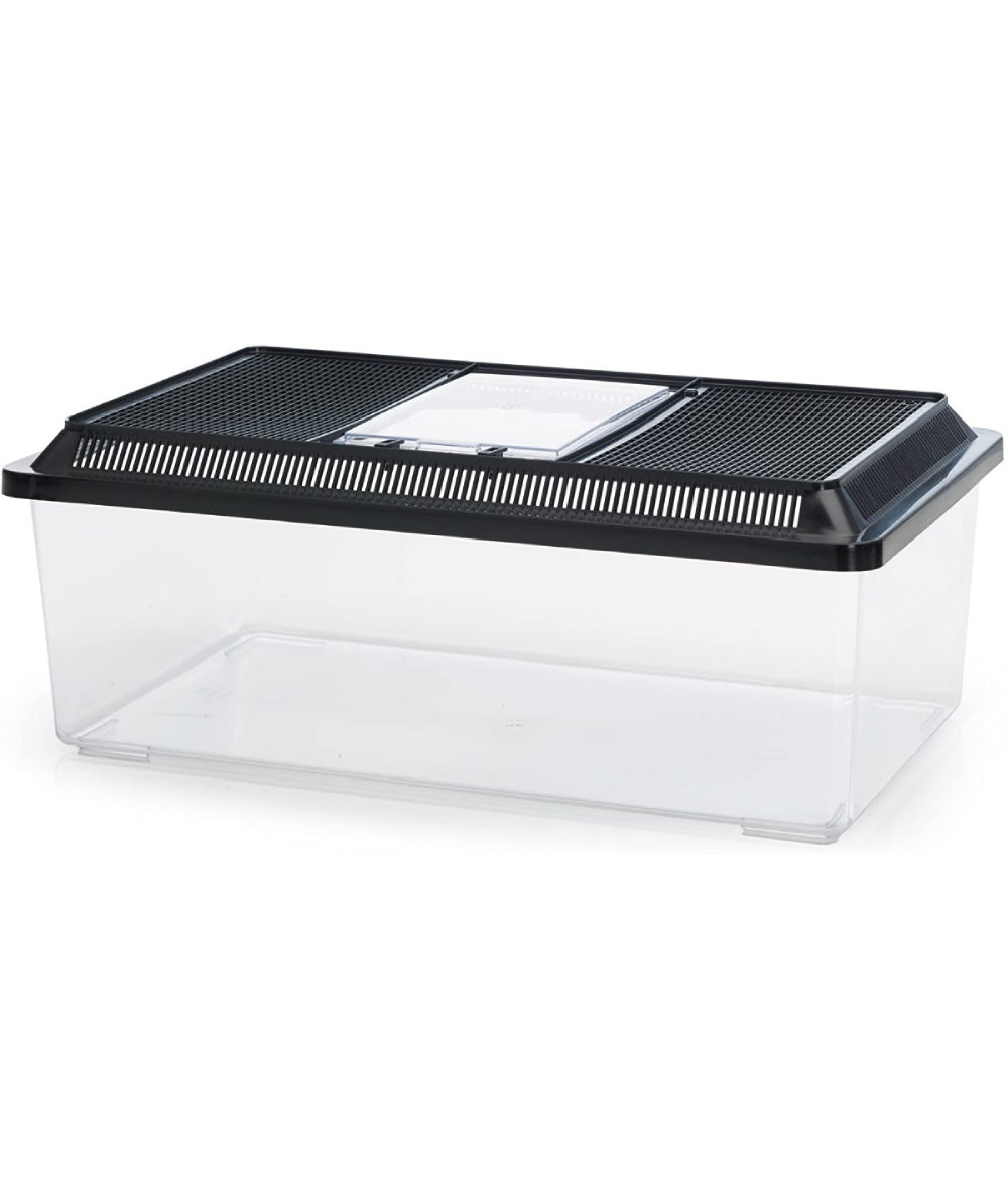 Terrario Fauna Box