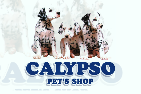 Calypso Pet's Shop