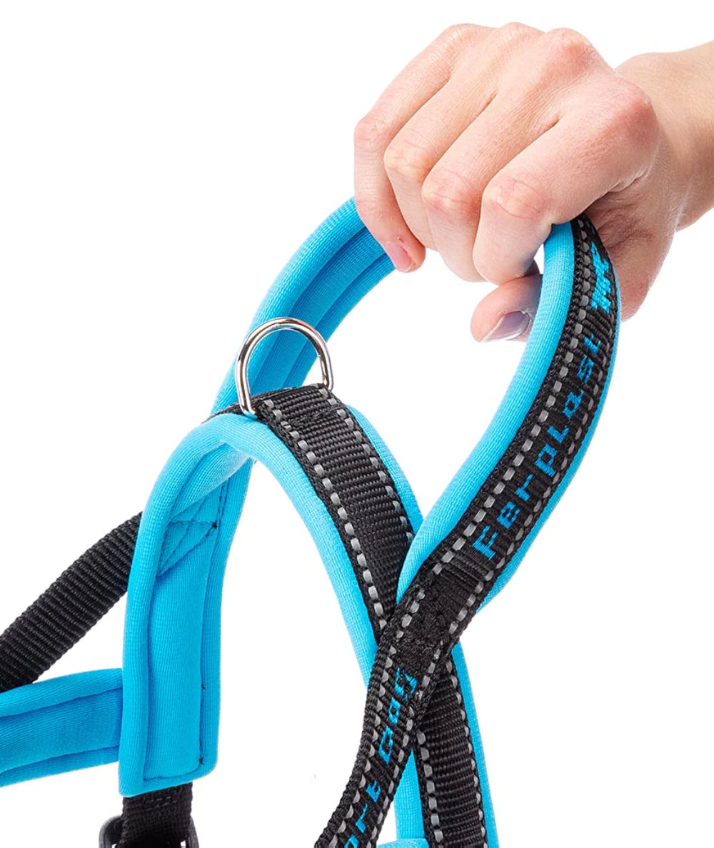 Pretal Ferplast Sport Dog Medium