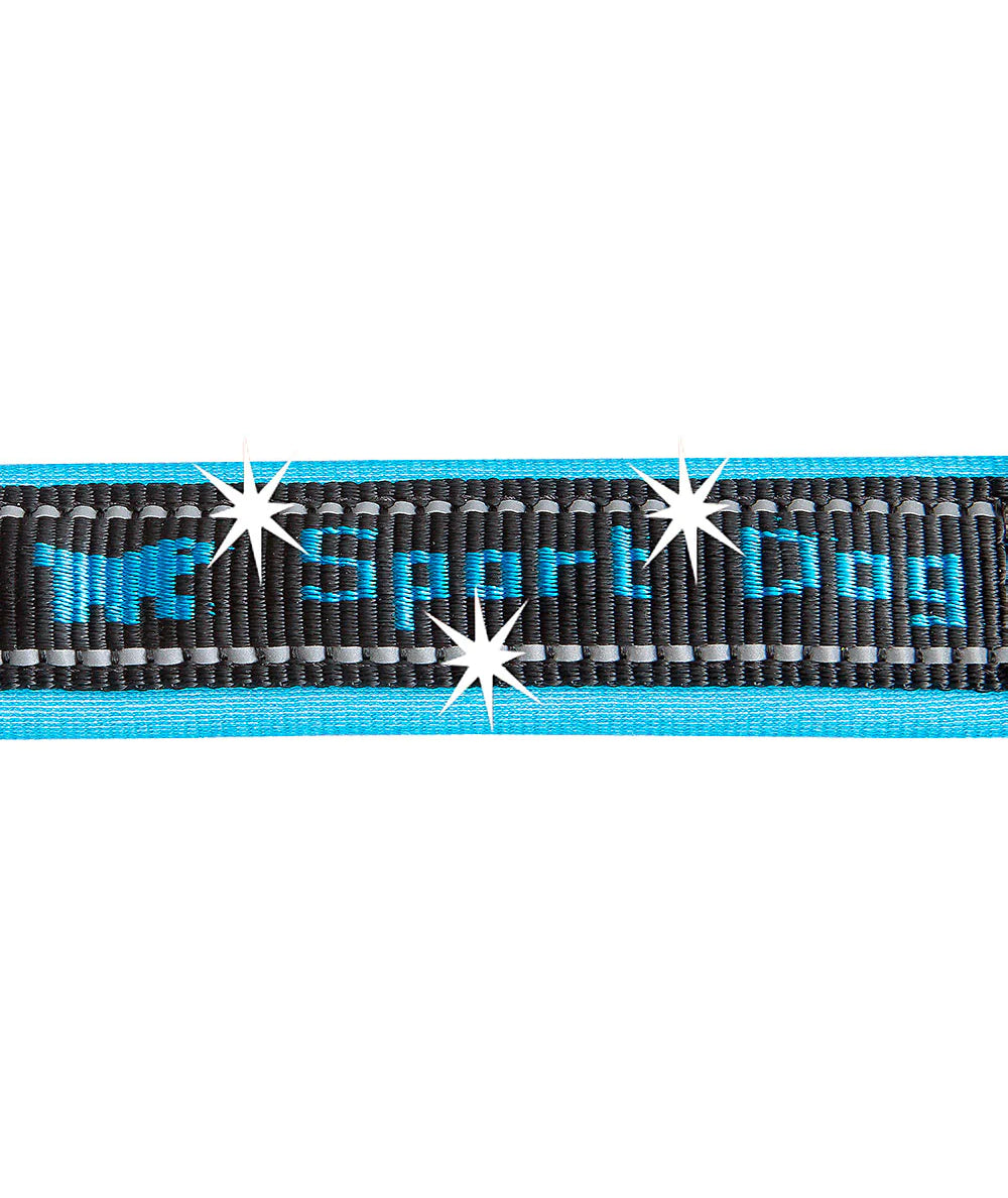 Pretal Ferplast Sport Dog Medium
