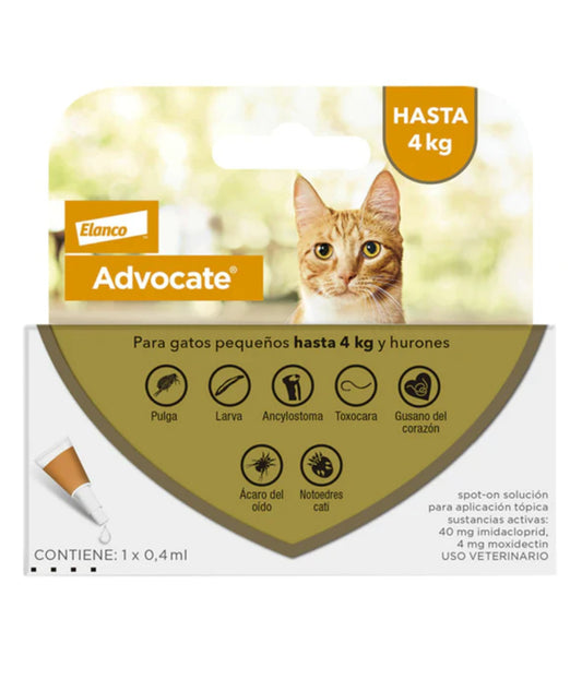 Pipeta antipulgas para gatos