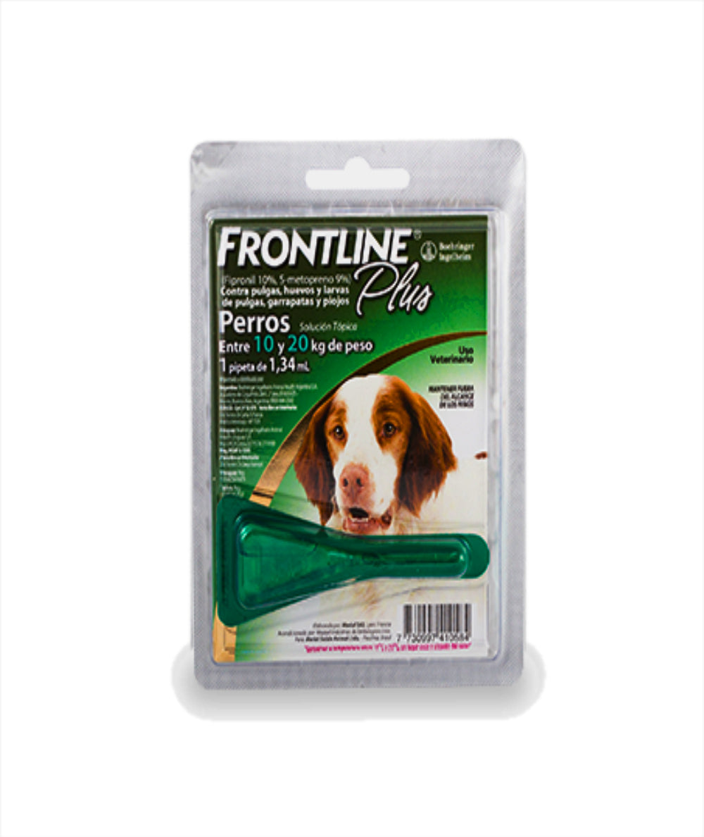 Frontline