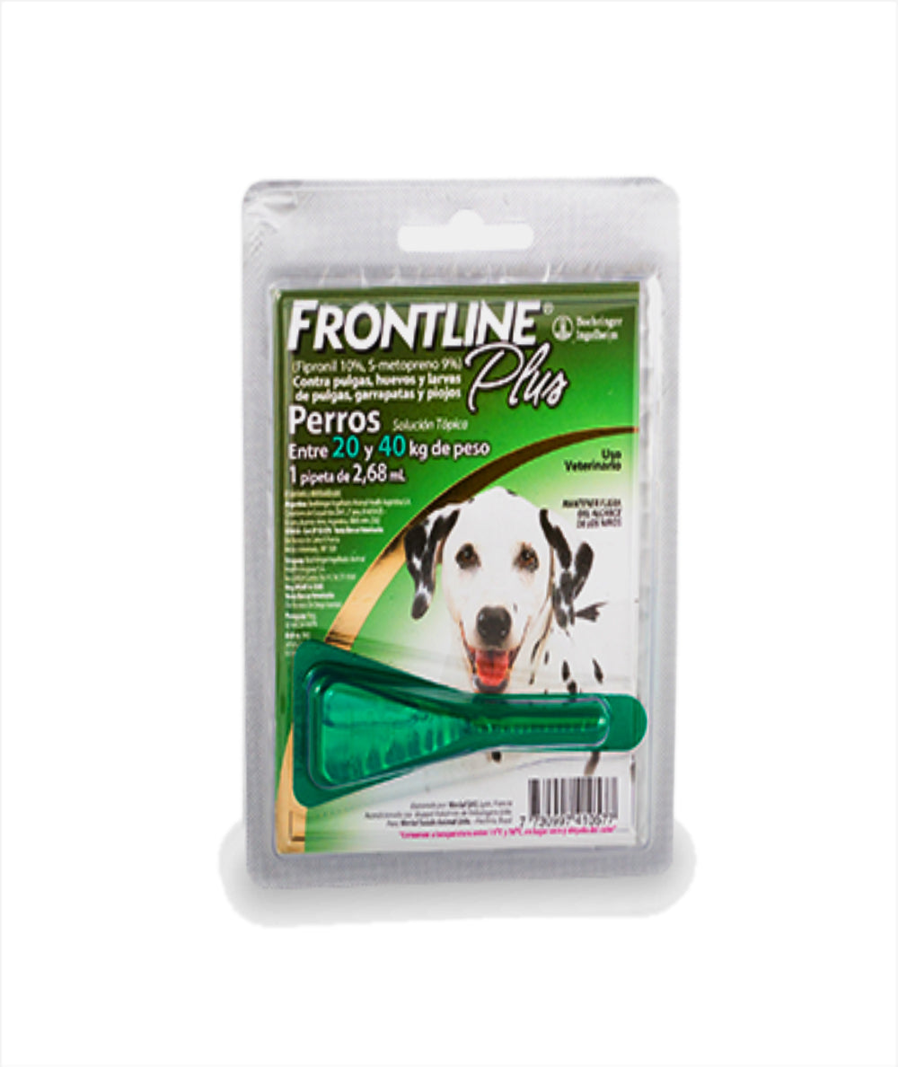 Frontline