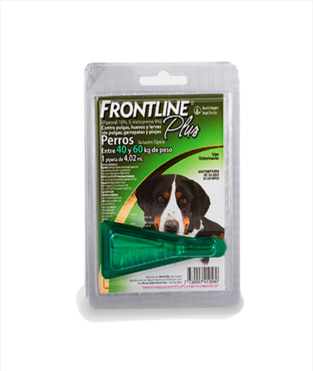 Frontline