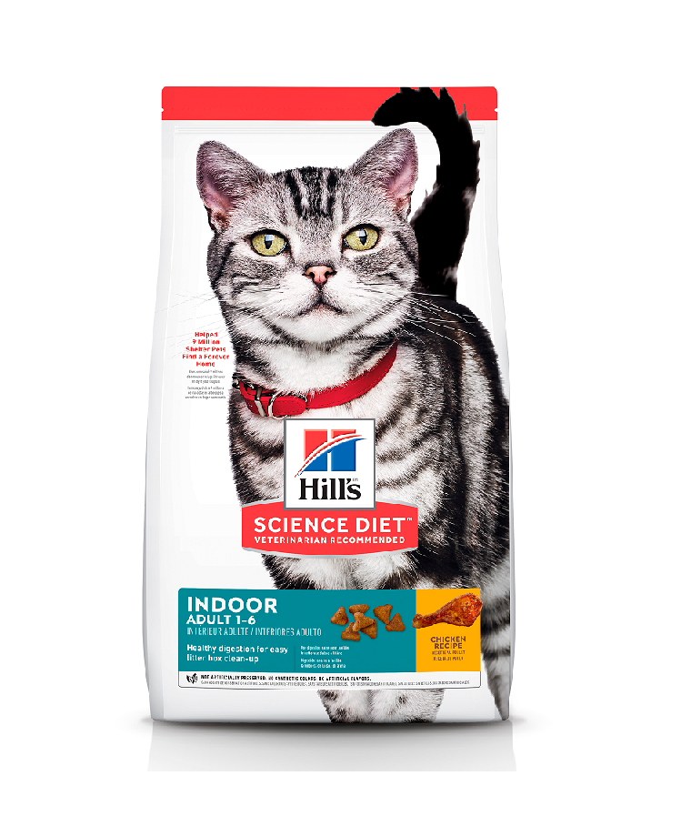 Hills Adulto Indoor