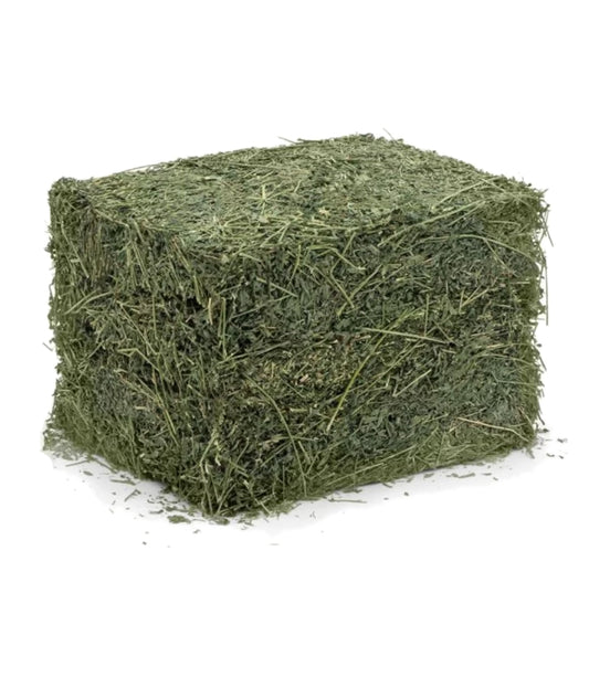 Bolsa de Alfalfa