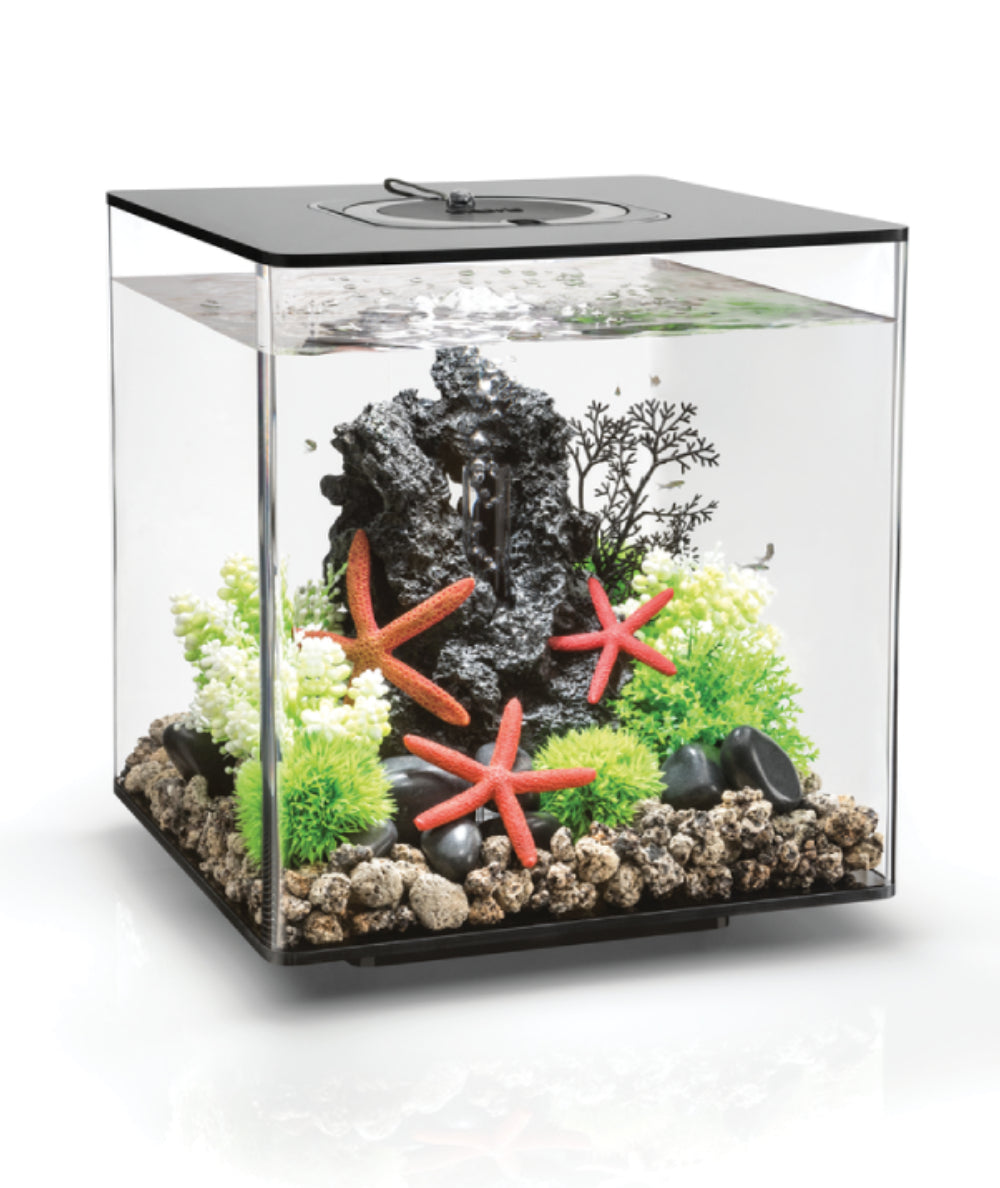 Acuario biOrb CUBE 30