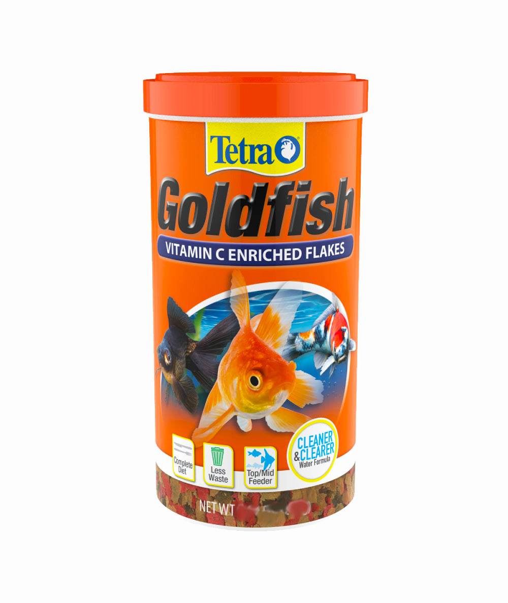 Tetra Goldfish