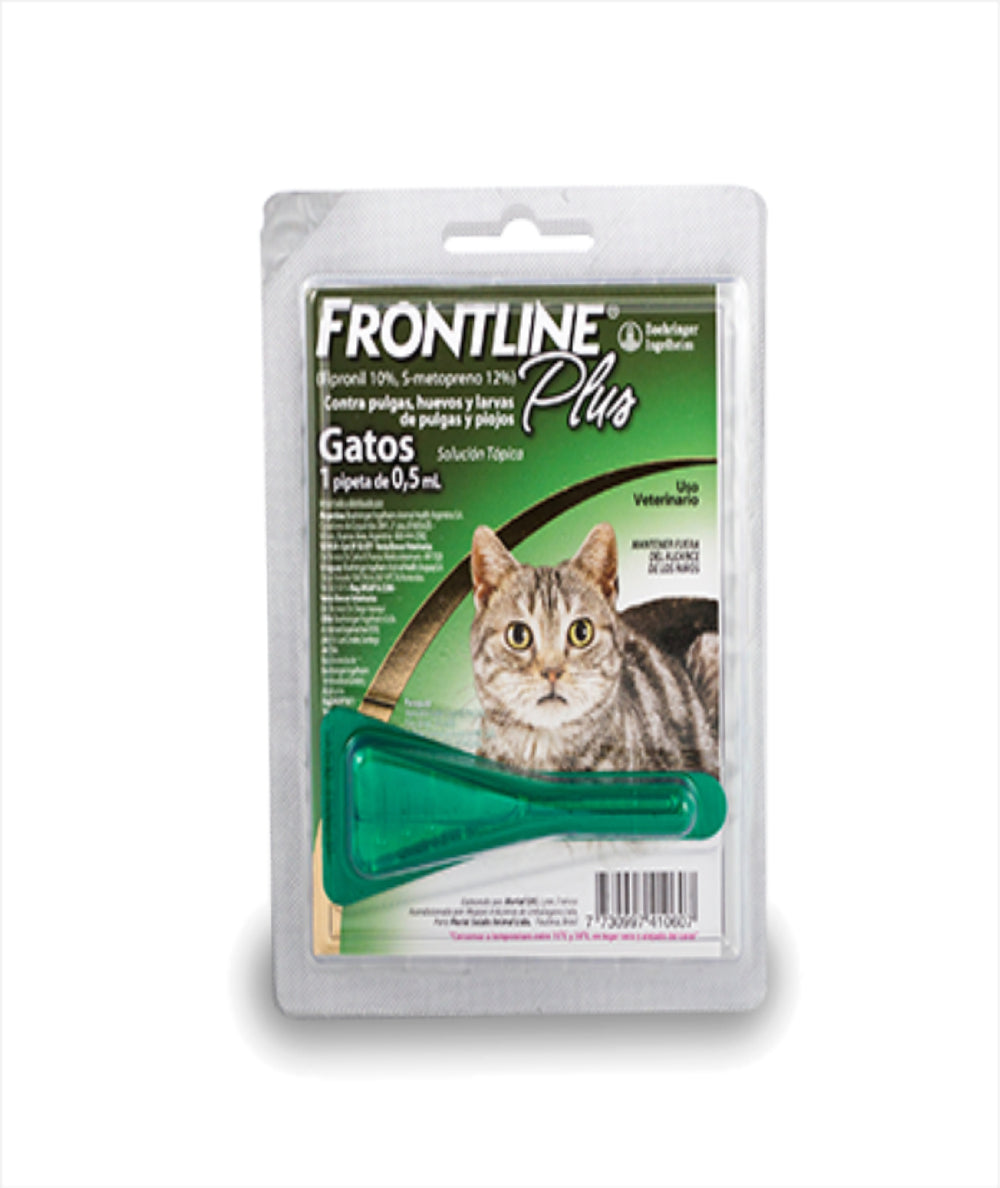 Frontline