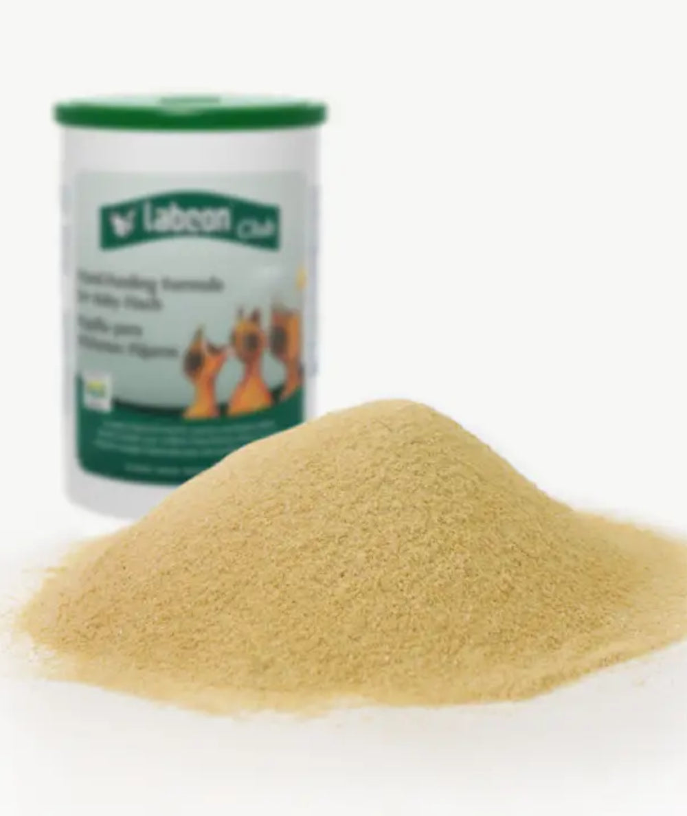 Labcon Papilla para Pichones Pájaros