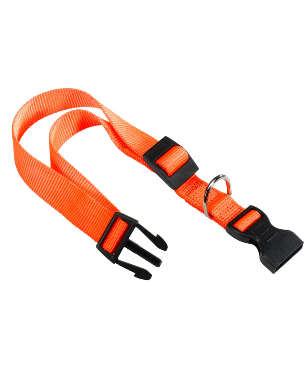 Collar Nylon Ferplast Club C20/56