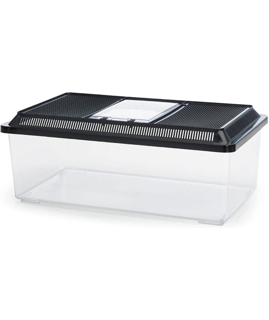 Terrario Fauna Box