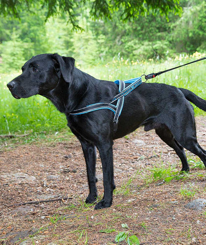 Pretal Ferplast Sport Dog Medium