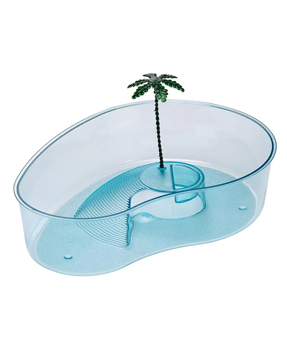 Tortuguero con palmera