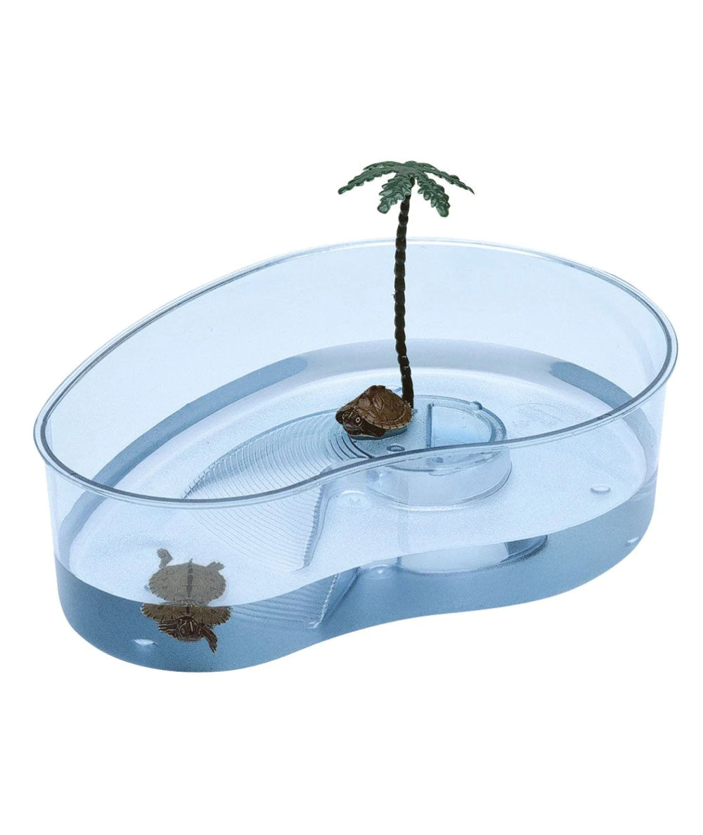 Tortuguero con palmera