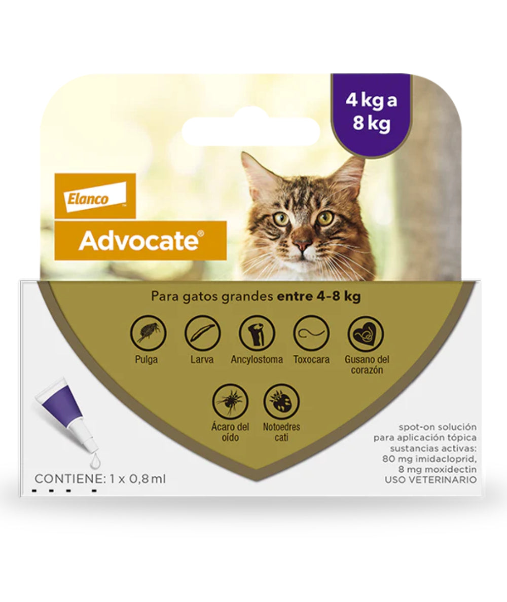 Pipeta antipulgas para gatos
