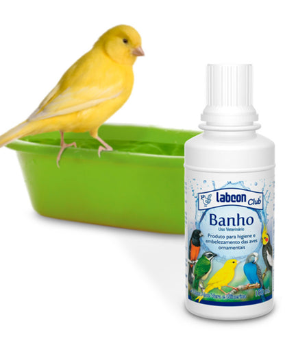 Baño para aves