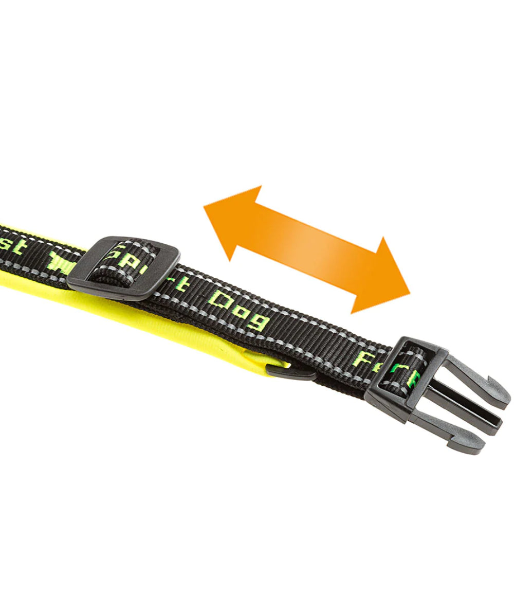 Collar Sport Dog C 20/43