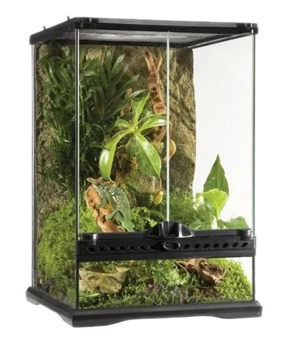 Terrario Exoterra