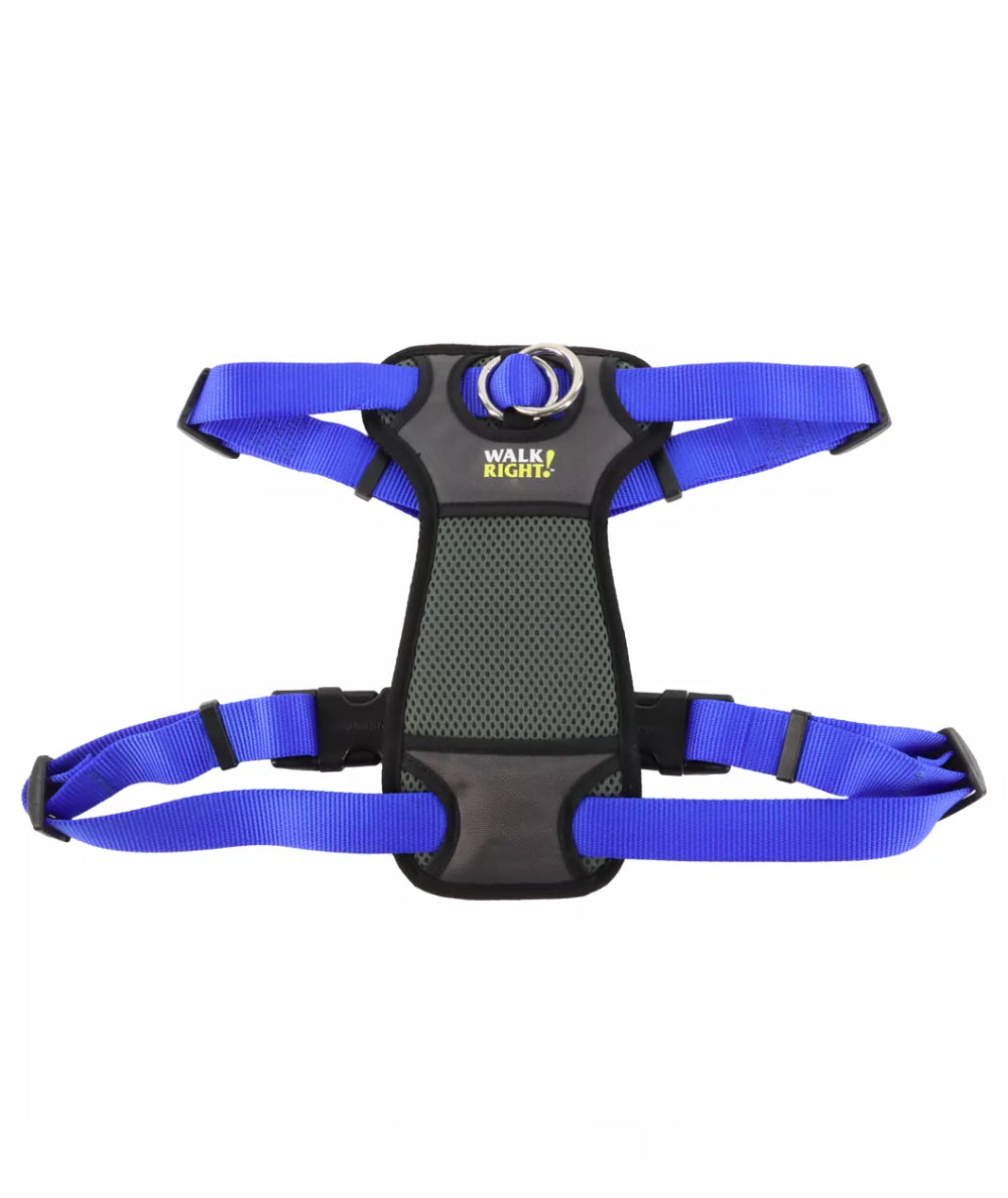 Pretal de entrenamiento correctivo Walk Right Mediano