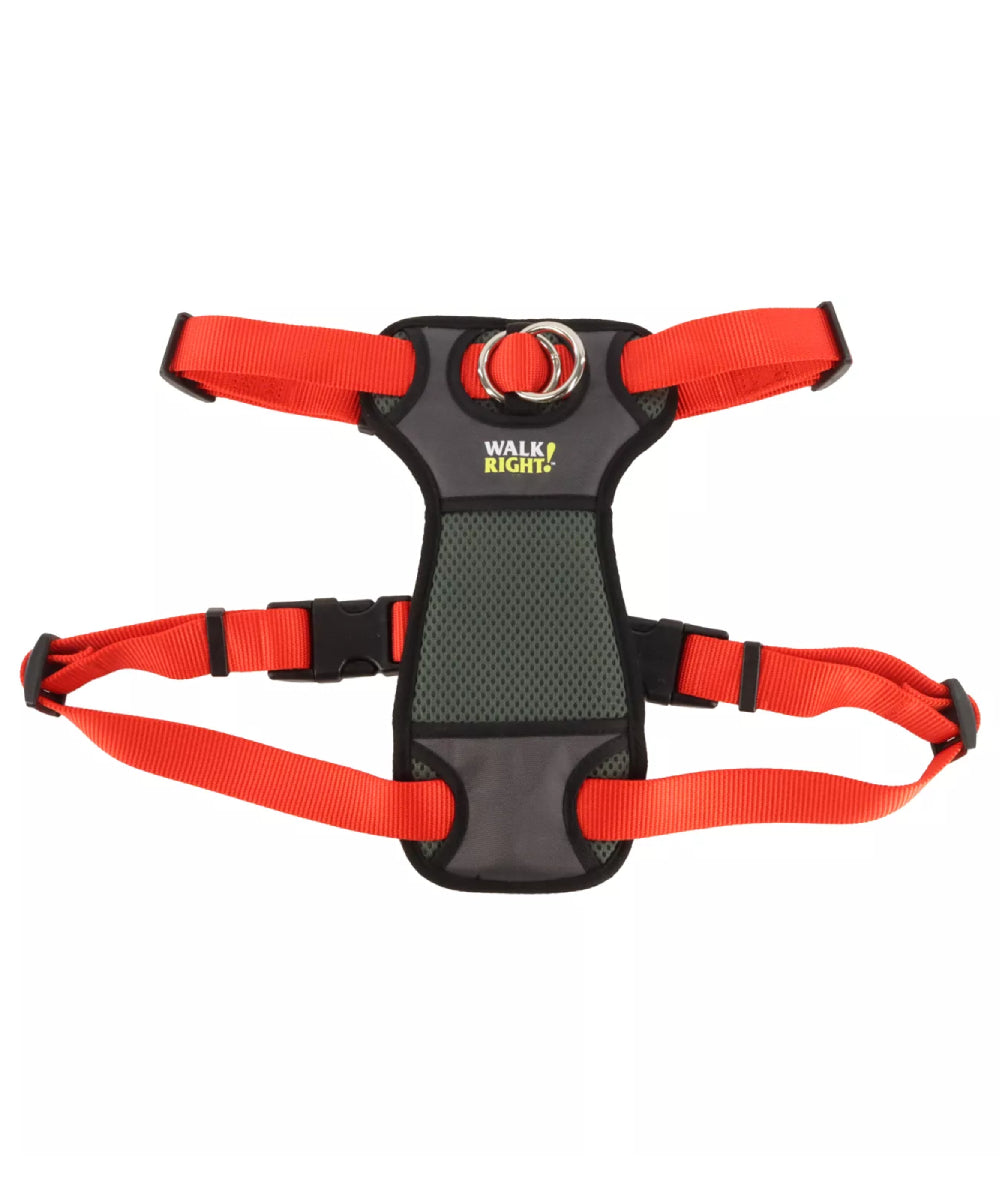 Pretal de entrenamiento correctivo Walk Right Mediano