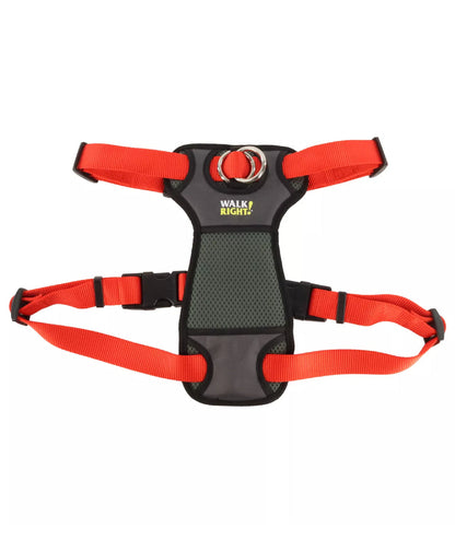 Pretal de entrenamiento correctivo Walk Right Mediano
