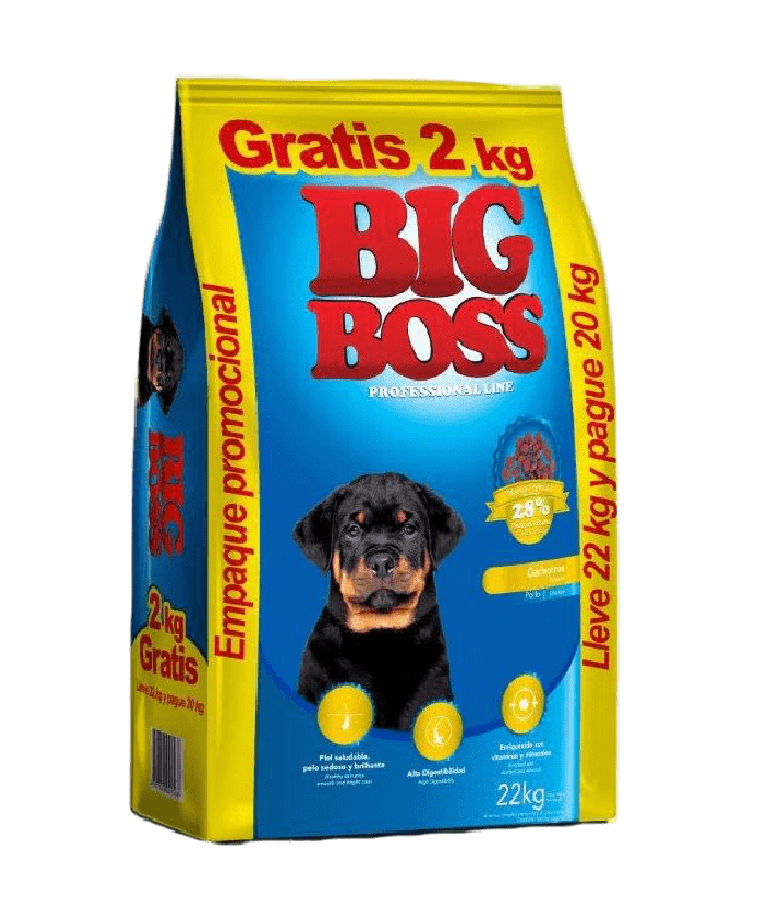Big Boss