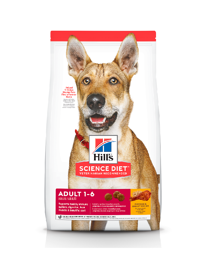 Hills Adulto