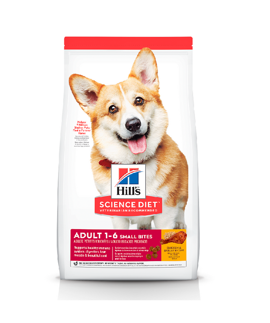 Hills Adulto