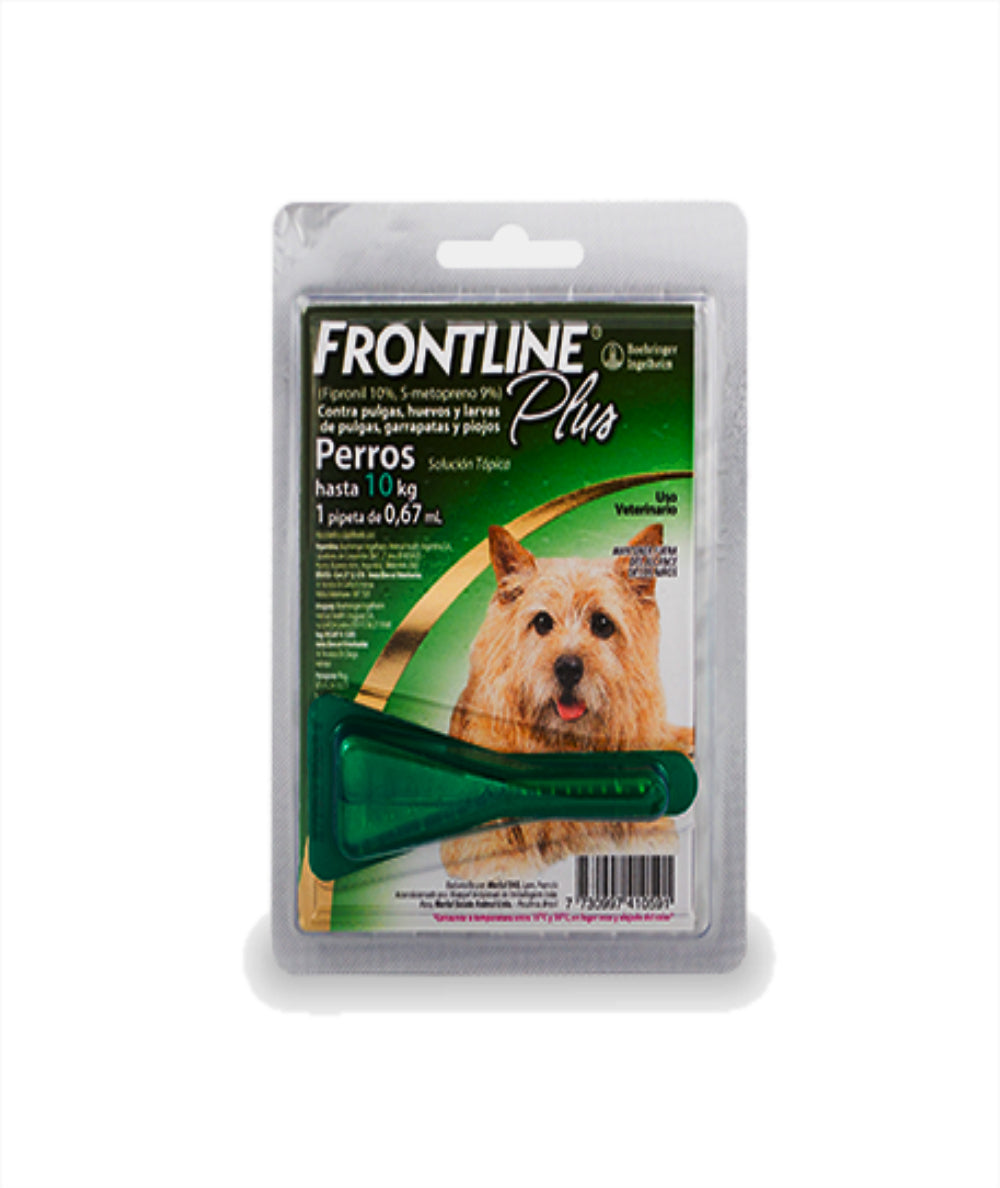 Frontline