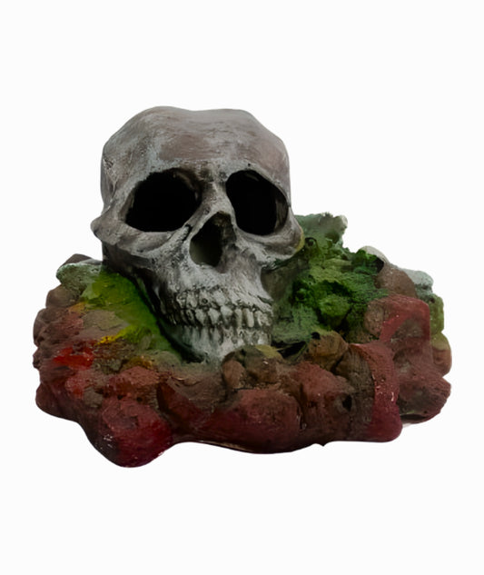 Decoración Calavera para Acuarios
