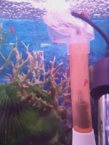 Pico de Aire para Placas de Acuario