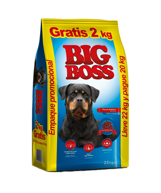 Big Boss