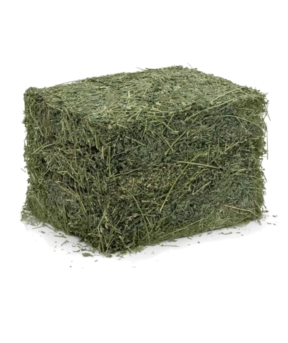 Bolsa de Alfalfa