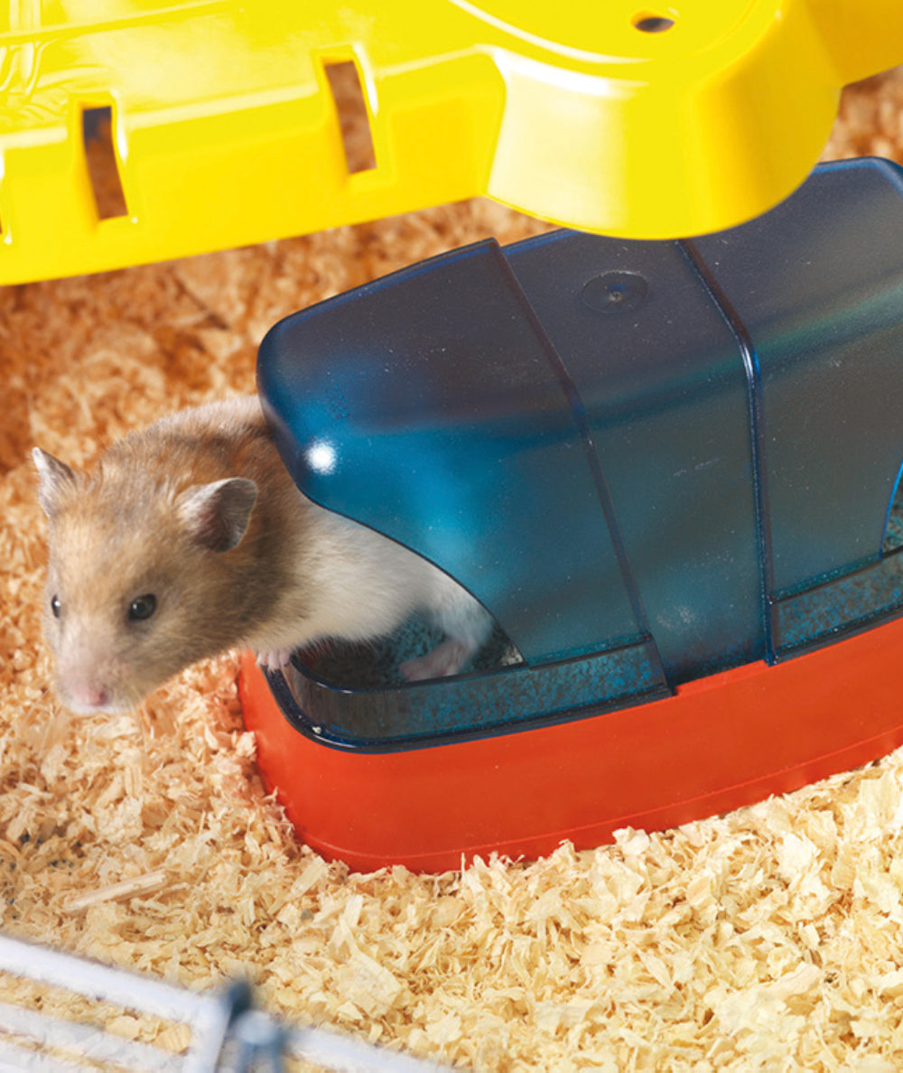 Baño para Hamster
