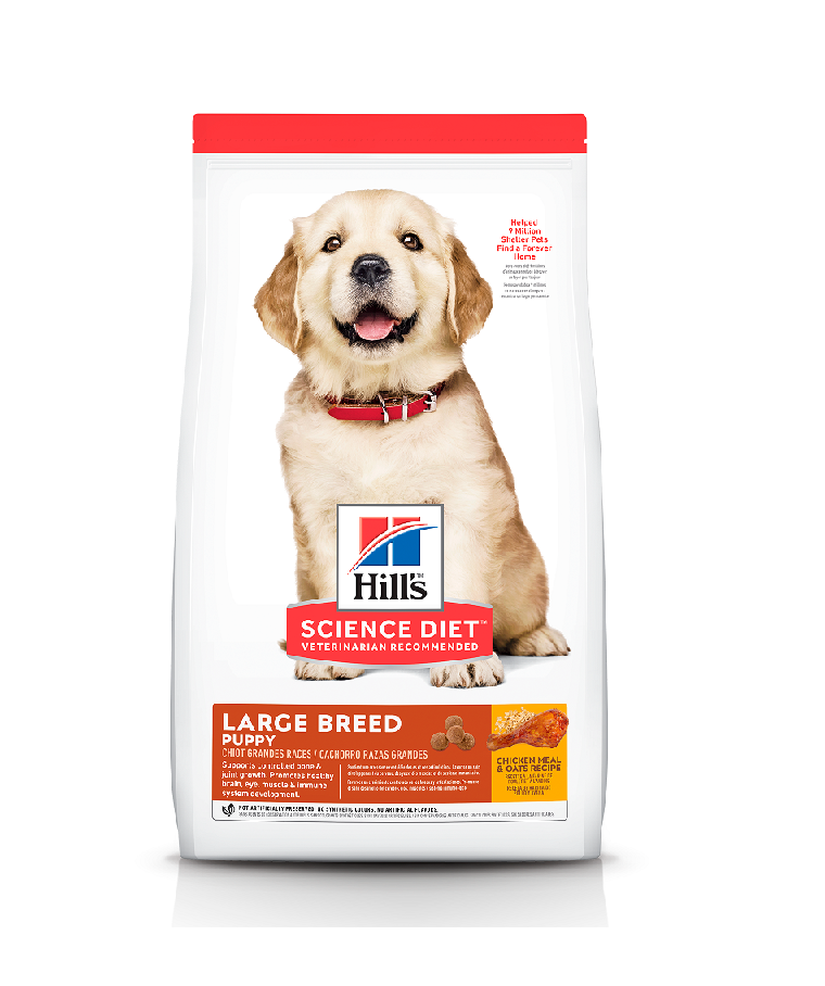 Hills Cachorro