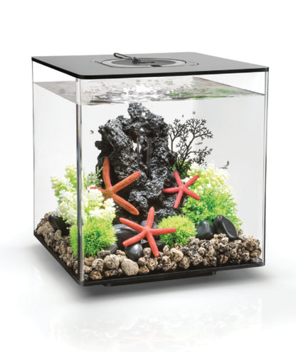 Acuario biOrb CUBE 30