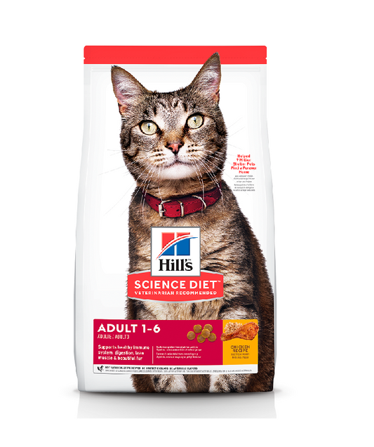 Hills Gato Adulto