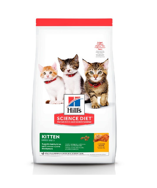 Hills gato Cachorro