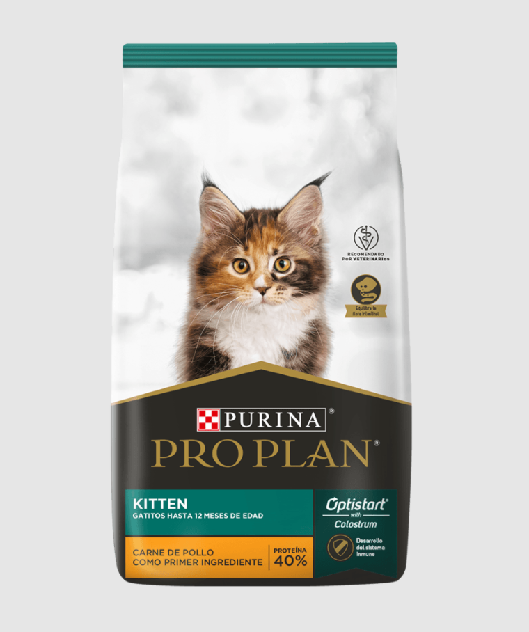 Pro Plan Kitten