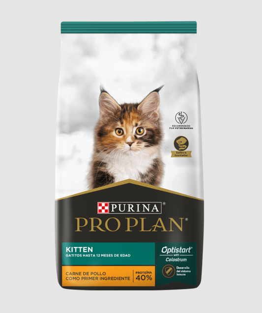 Pro Plan Kitten