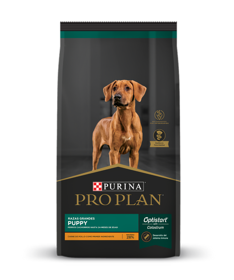 Pro Plan Cachorro