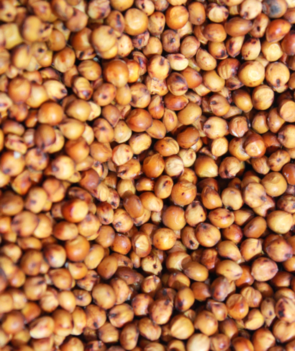 Sorgo