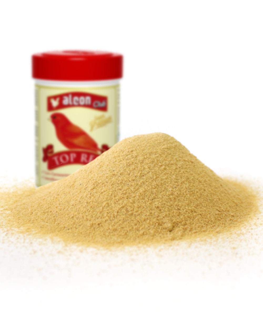 Top Red Canarios