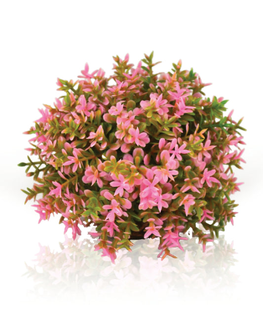 Decoración BiOrb Bola de Flores Rosa