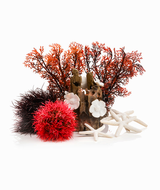 Decoración BioOrb Kit Bosque Rojo para Acuarios