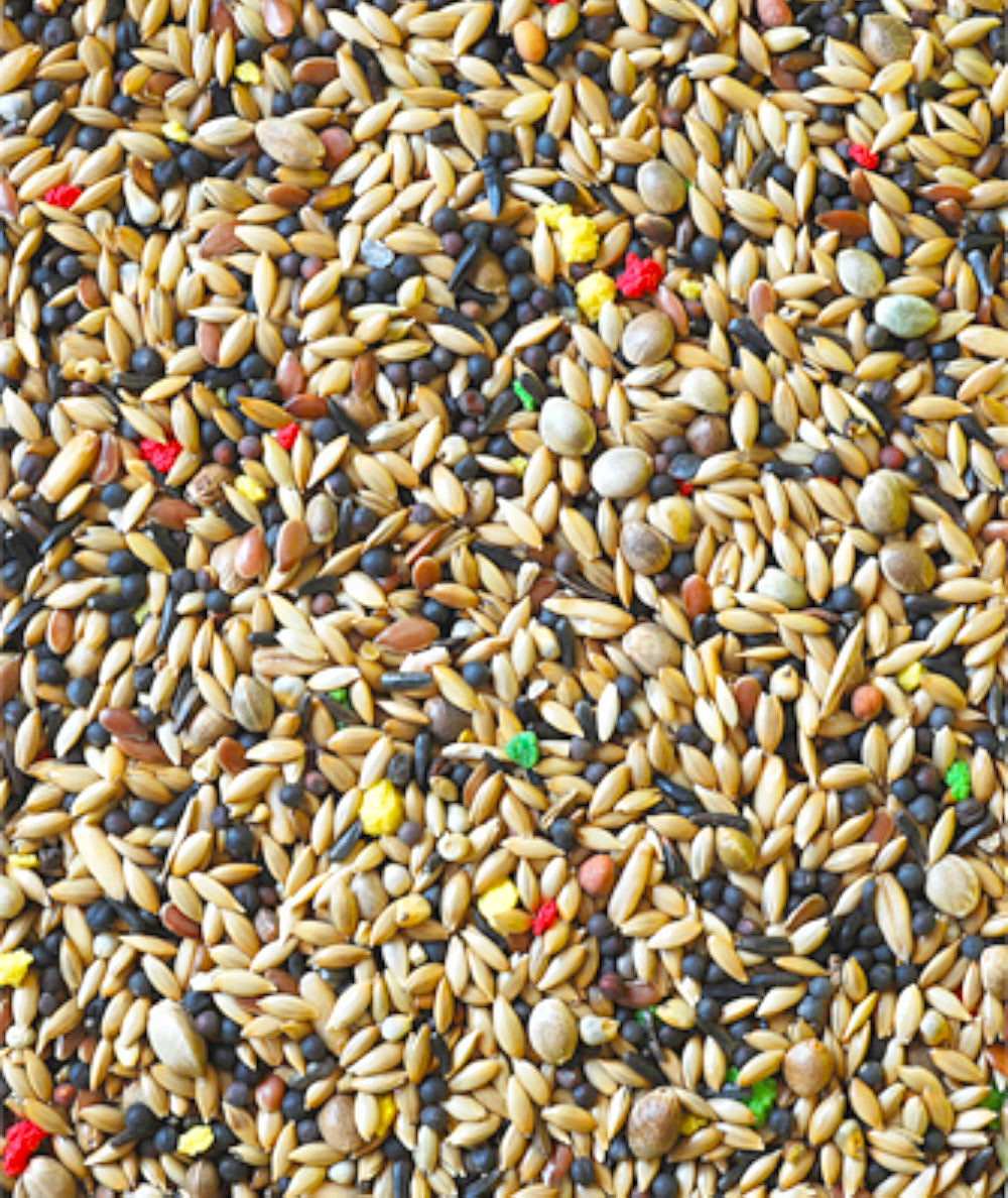 Mix de Semillas para Canarios  Vitaminizados
