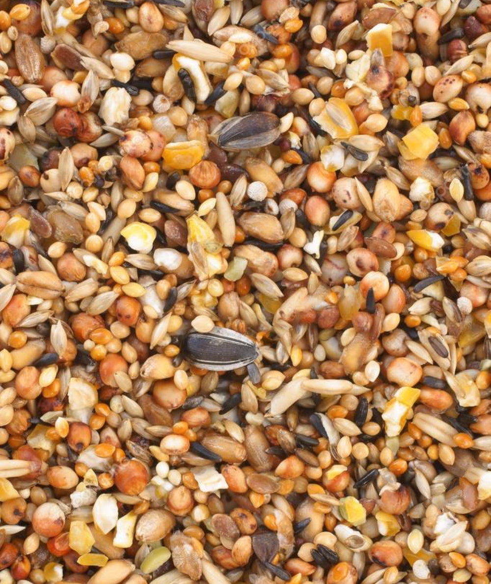 Mix de Semillas para Pajaros Salvajes