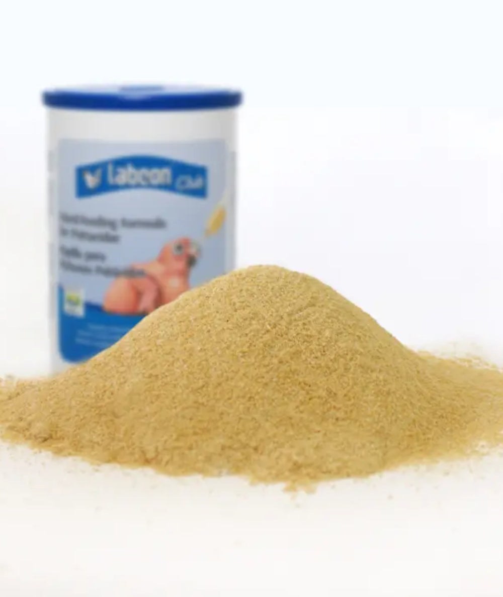 Labcon Papilla para Pichones Psitácidos